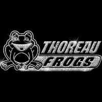 GLT102 SILVER GLITTER Thumbnail