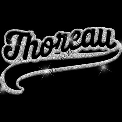 GLT78 SILVER GLITTER Thumbnail