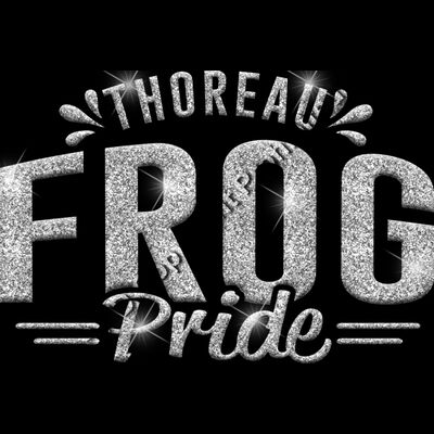 GLT62 SILVER GLITTER Thumbnail